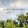 deewanenusrat0016