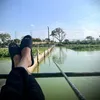 huandeptraihihi