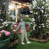 tham88653