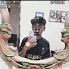 cicak____12gpdl