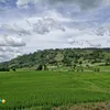 josam011919