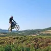 mato_816