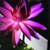 minh.binh6135