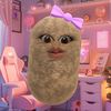 fryzcaaaaaaaa