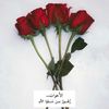 user5053084111373