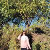 bipisha_r.l._pariyar98