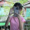 nay.chi7296