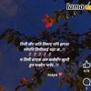 Lovely king