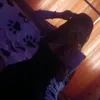 banny3666