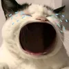 huhu13758