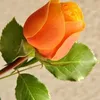 mohamed.kassab854