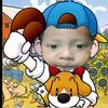 alippp1577