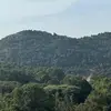ss2675337
