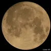 wxz_0403