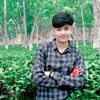 sylnaim8