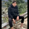 thaitaybac26l1