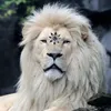 gianluca_napoli_02