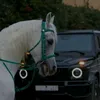 xriil97