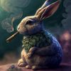 b3yond_imagination