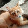 rianti25__