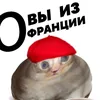 mooriiaa_