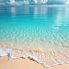 ahmed.88050