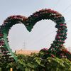 mdshuvoahamed383