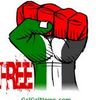 free.plestine91