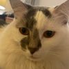 noahb2112