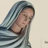 luziacardoso13308