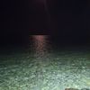 sahar.hamdy590