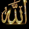 user9081013351360