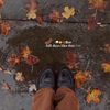 livelaughlovefall5