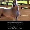 user9732509318516
