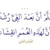 habib.taleb11