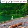 user31004734974307