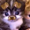 fandebangchan1
