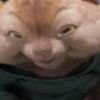 briangomezz2