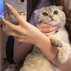 mycaty4