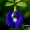 h.lasali.warna.se