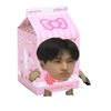 jays_potatochips
