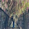 regina_baltazar