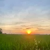 thuhaiphong
