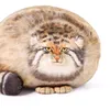 manylllik