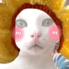 editrizz2