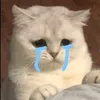 oiwsas