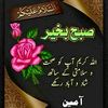 hasnain.khan8564