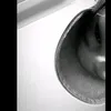 ginxnic