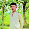 zia.malik941