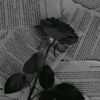 silent_life.05